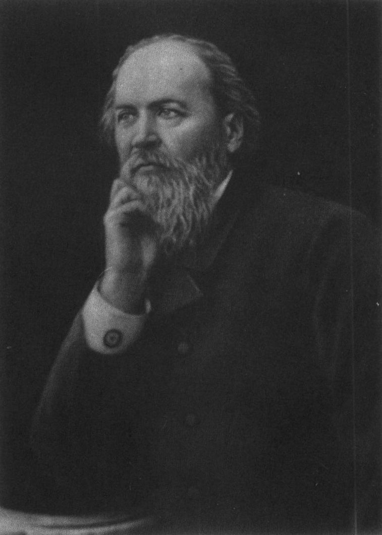 Я.П. Полонский. Фотография 1880-х годов