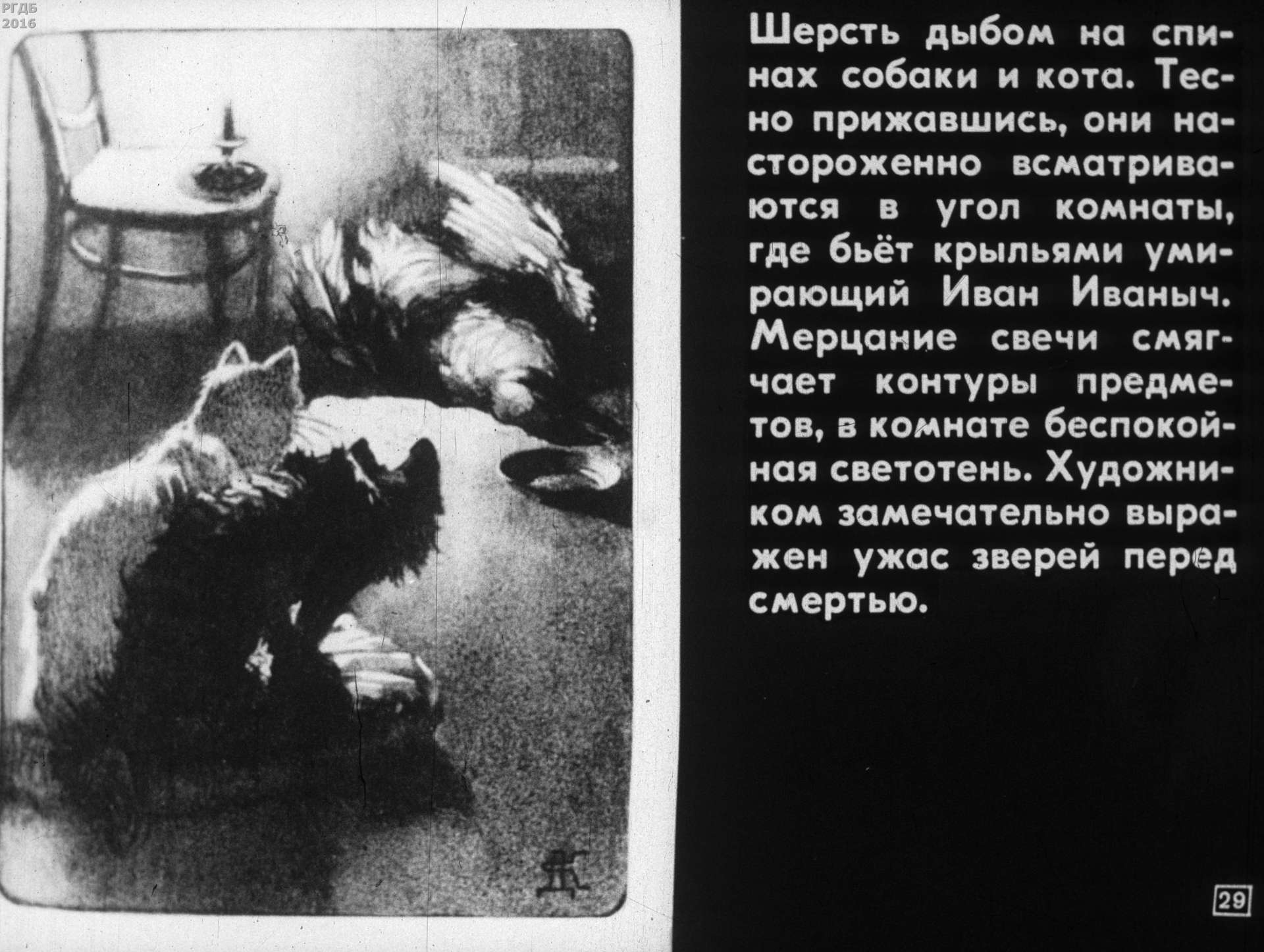 «Каштанка» А.П. Чехова и «Каштанка» Д.Н. Кардовского (1975)
