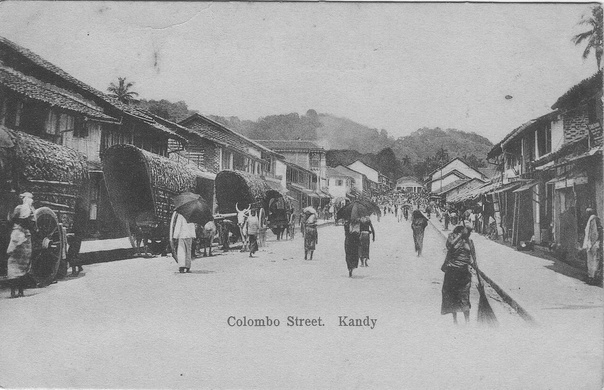 Канди, улица Коломбо, 1900-е гг.